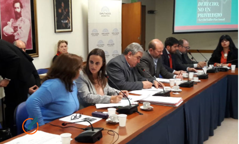 El diputado Borsani propuso regular la fabricación de prendas para evitar discriminación con los talles