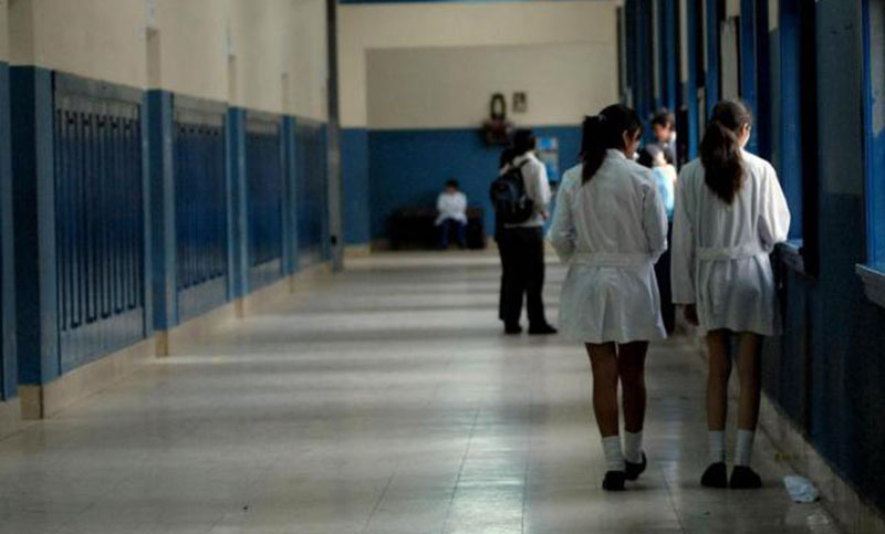 En Santa Fe hay un 30% de adolescentes que no concurren a la escuela, según Amsafé