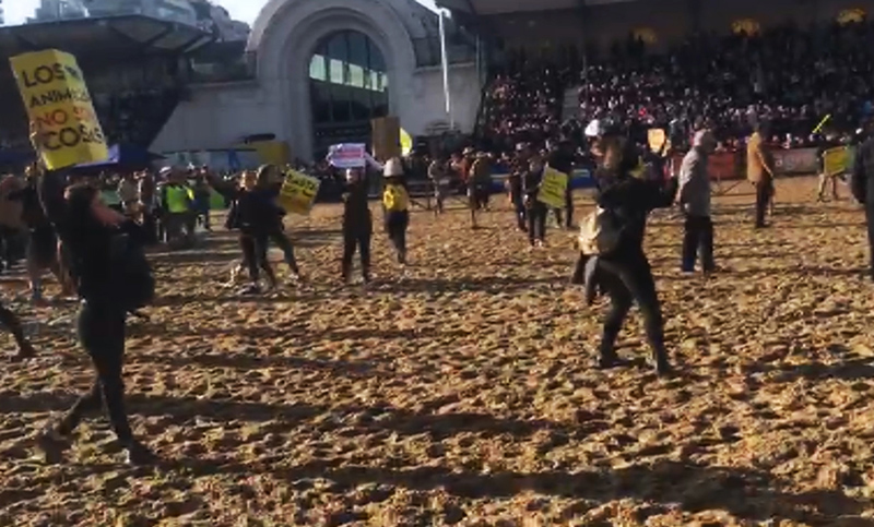 La Rural condenó «todo tipo de violencia» tras los disturbios con un grupo de veganos 