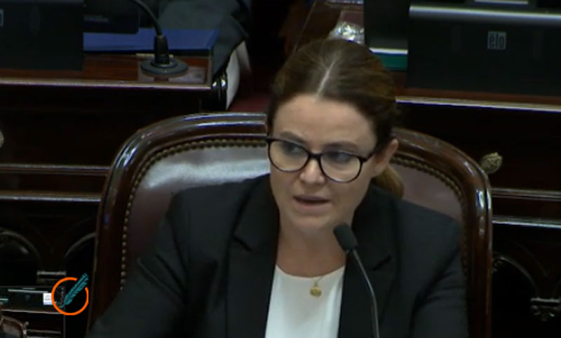 El Senado aprobó una ley que priva de su arma a los agentes de seguridad violentos