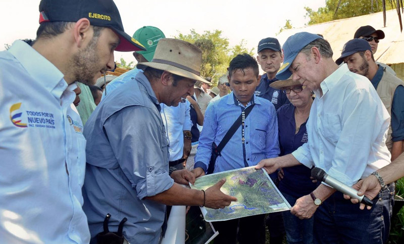 Descubren al menos 36 nuevas especies de flora y fauna en el Amazonas