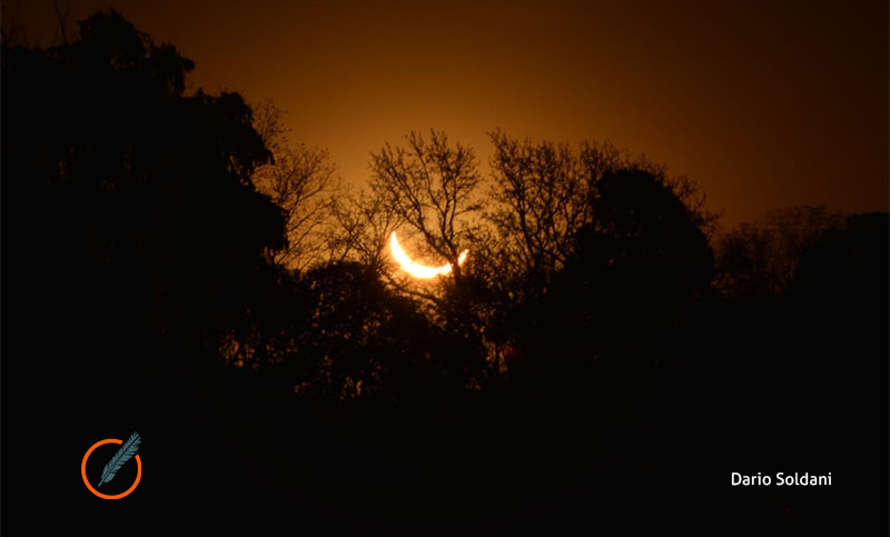 Cómo se vivió el eclipse en distintos lugares: la reacción en redes sociales