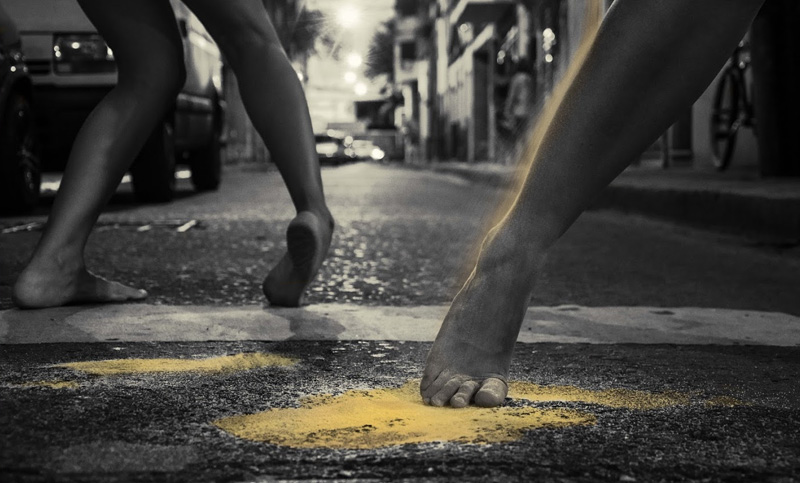 Vuelve Pluripotente, una obra de danza de creación colectiva