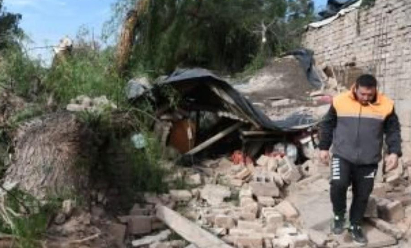 Zonda: una mujer murió aplastada por la caída de un árbol sobre su vivienda en Mendoza