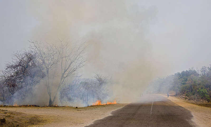 El “segundo pulmón verde” del planeta también arde
