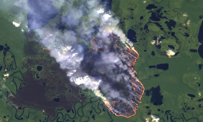 Temor por los incendios casi incontrolables en el Amazonas