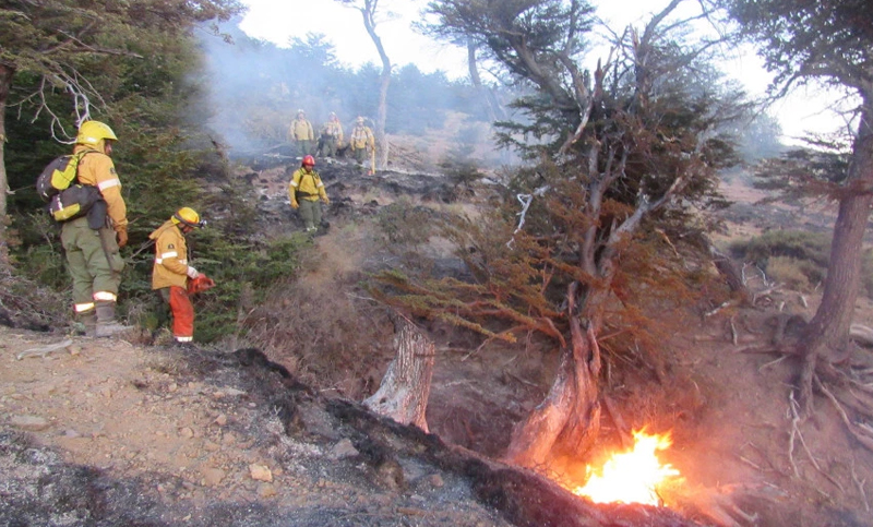 Brigadistas de Bariloche y El Bolsón se preparan para combatir el fuego en la Amazonia