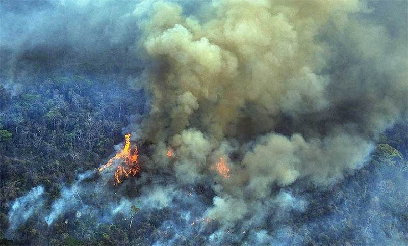Las llamas en la Amazonia ponen en riesgo el acuerdo UE-Mercosur