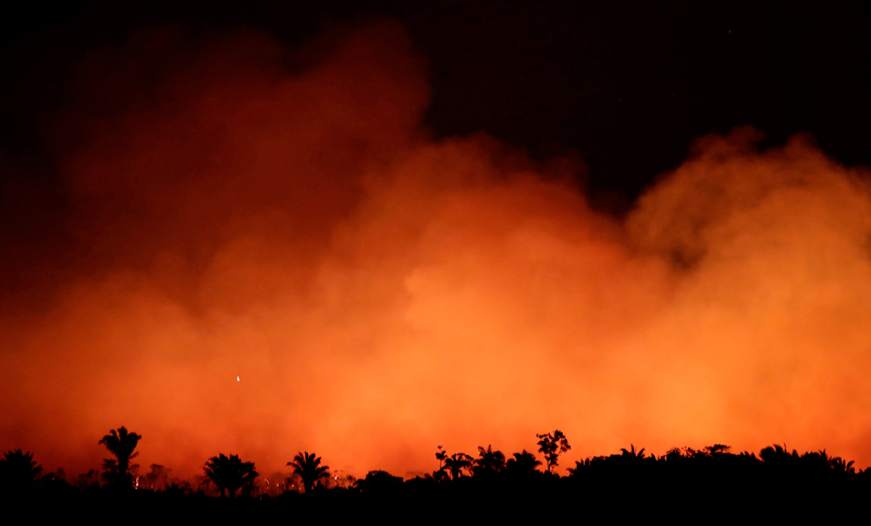 Ambientalistas protestarán frente a la embajada de Brasil por los incendios en el Amazonas