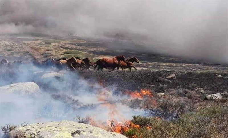 Suspenden la campaña electoral en Bolivia por los incendios: el pedido de Venezuela