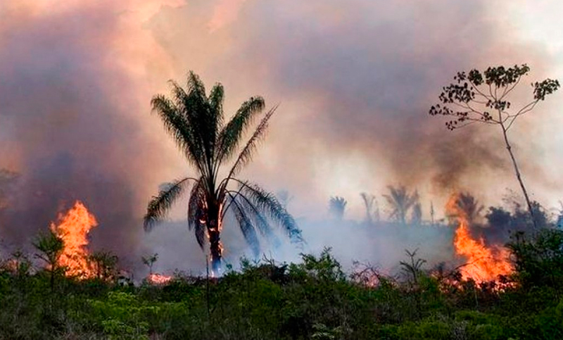 Francia se opone al acuerdo con el Mercosur tras la crisis desatada por los incendios en la Amazonia
