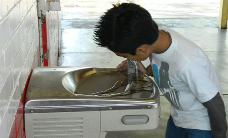 Presentaron el proyecto de ley de Derecho a Jarras en las escuelas