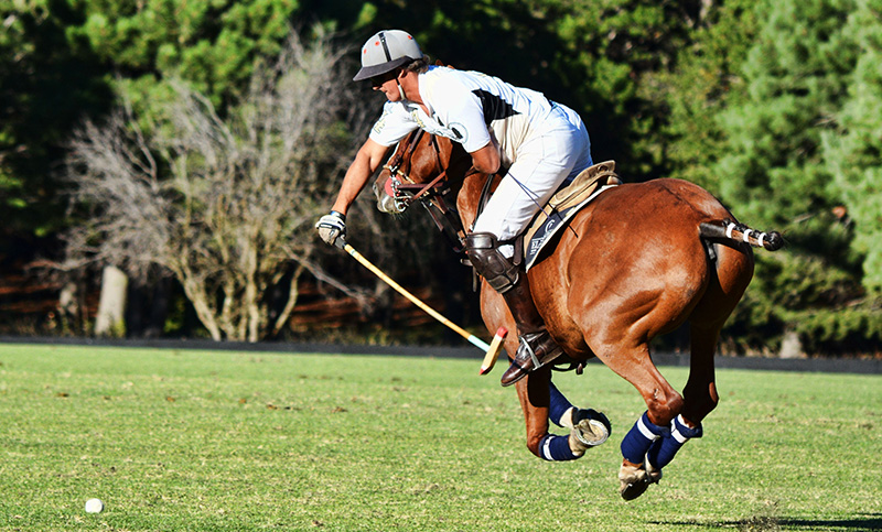 Torneo de polo en Villa Ramallo