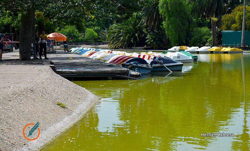 Piden colocar rejas en el laguito del Parque Independencia por reiterados casos de vandalismo