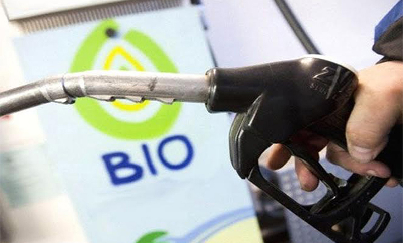 Pymes productoras de biocombustibles en situación «desesperante» por el congelamiento