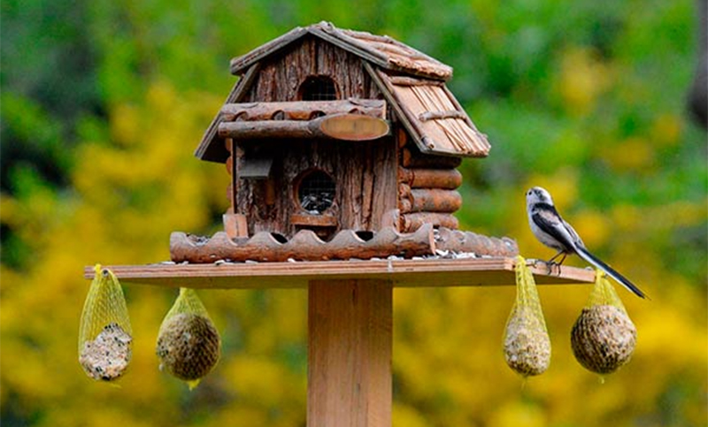 Instalar comederos de pájaros en el jardín beneficia a muchas especies