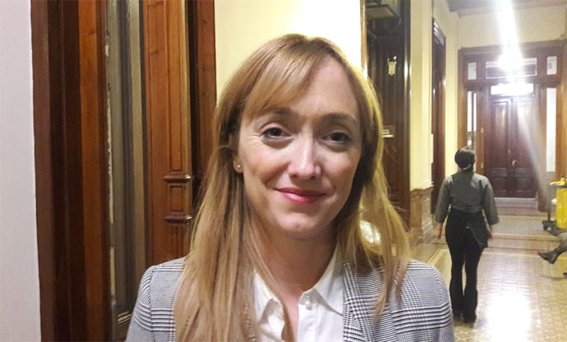 Fernández Sagasti se sumó a las críticas por el reparto desigual de la emergencia