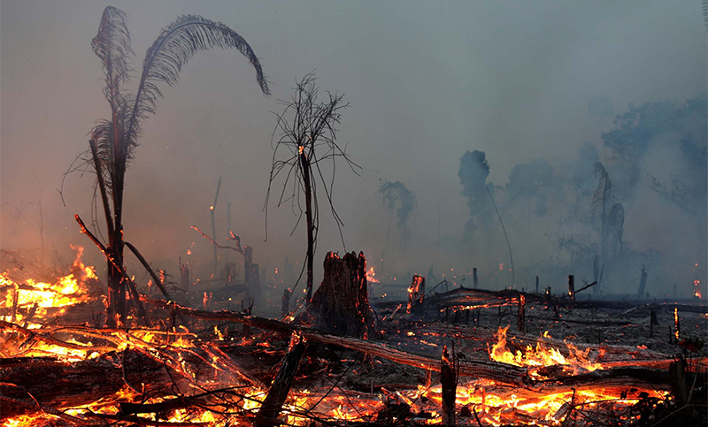 Siete países firman un pacto para la preservación de recursos naturales en la Amazonia