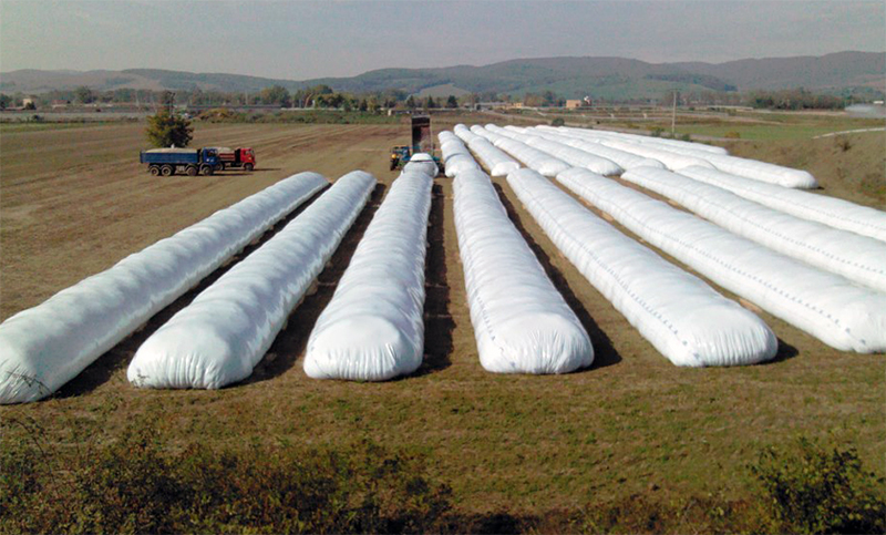 Denuncian «ataques» contra silo-bolsas en provincias de la zona núcleo