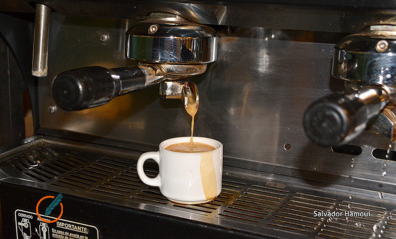 1º de octubre: El Día del Café es todos los días