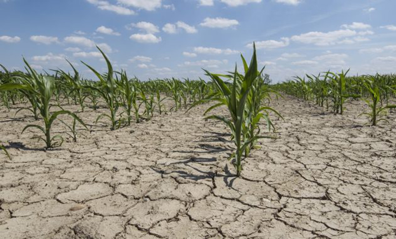 El 36% del suelo argentino sufre procesos de erosión, según el INTA