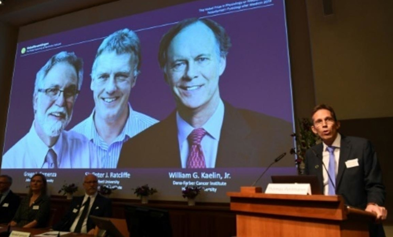 Nobel de Medicina para trío que investigó cómo se adaptan las células al oxígeno