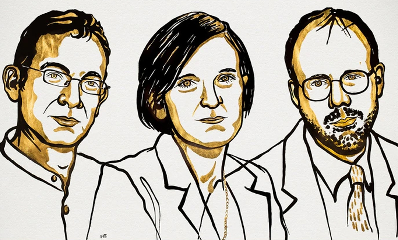 Nobel de Economía para tres investigadores de las causas y consecuencias de la pobreza