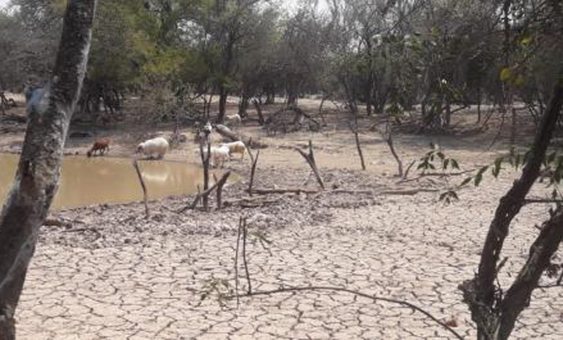 La sequía golpea a la región oeste de Salta 