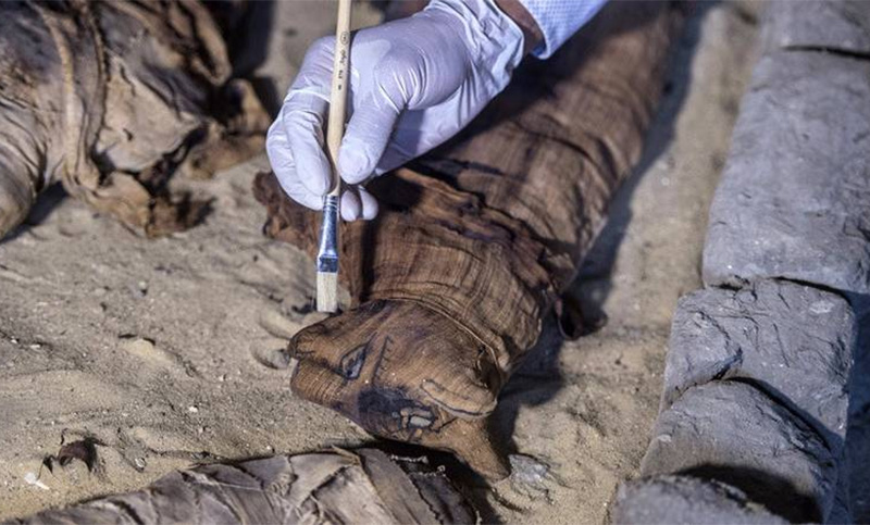 Científicos ‘abren’ una antigua momia de gato egipcia y se llevan una gran sorpresa al ver su contenido