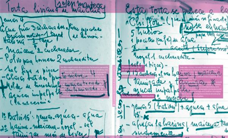 Científicas rosarinas publicaron un libro sobre el cuaderno de cocina de Leticia Cossettini