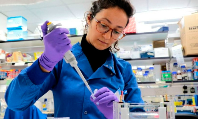 Distinguen a una investigadora argentina por su avance en la lucha contra una bacteria