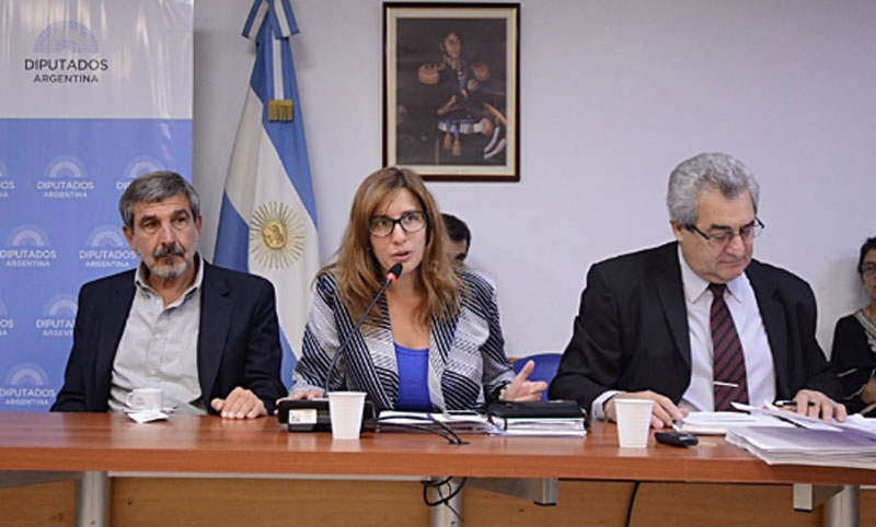 El proyecto de igualdad de género en el ámbito científico pasó al Senado