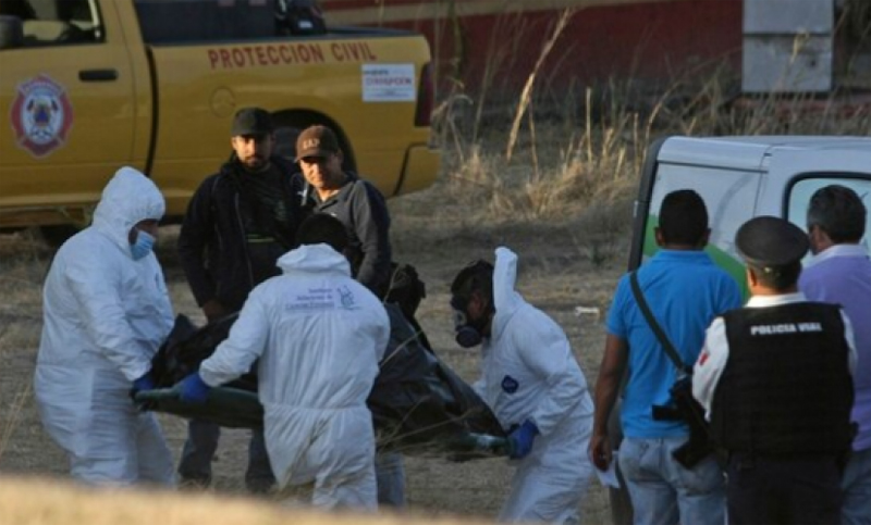 Hallaron 25 cadáveres y 52 bolsas con restos humanos en una finca de México