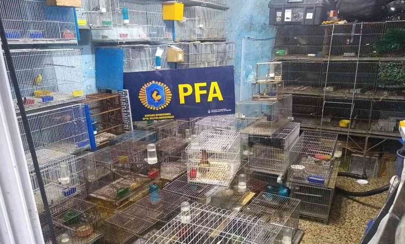 Desarticularon una banda dedicada al tráfico de animales: 26 detenidos
