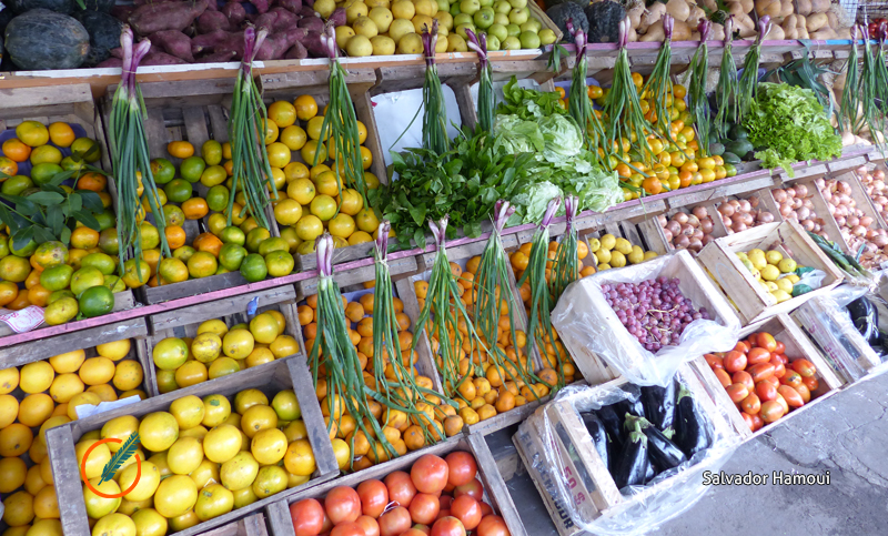 Los consumidores pagan las verduras 5 veces más de lo que cobran los productores