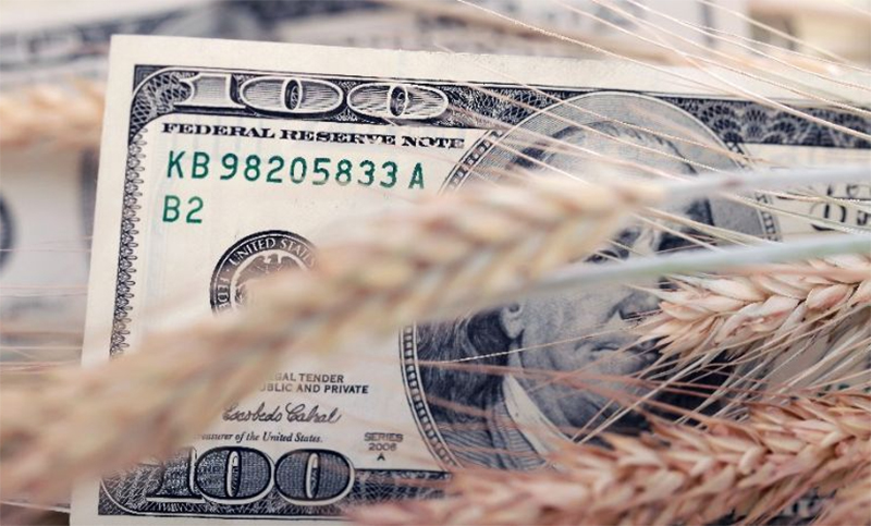 Agroexportadoras liquidaron un 51% más de divisas en octubre