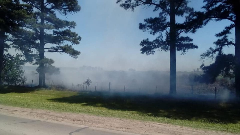 El incendio de un campo en Andino reavivó la problemática por las fumigaciones descontroladas