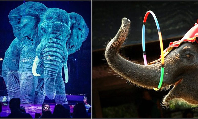 Roncalli: el mágico circo con animales holográficos