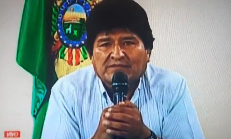 Sin árbol, sombra ni abrigo
