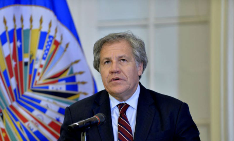 La OEA apoyó a la presidenta de facto de Bolivia