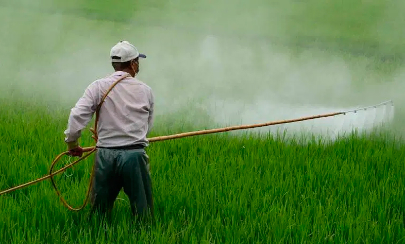 Clorpirifós: un pesticida que es peor que el glifosato y del que nadie habla