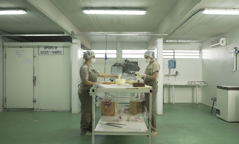 Se estrena Plantadas, un documental sobre cooperativas producido por D7 Contenidos