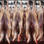 Rusia detectó Ractopamina en la carne argentina y puede restringir las importaciones
