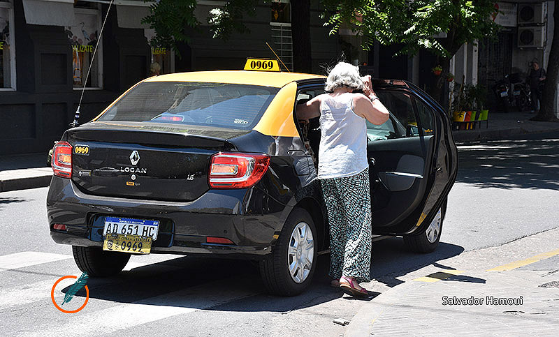Habrá sanción para taxistas que incumplieron la prestación en Nochebuena