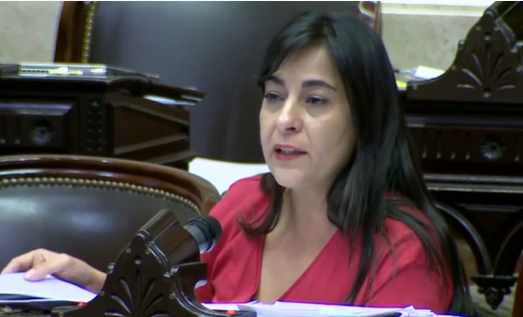 La diputada Moisés manifestó que Cambiemos tratará de «desestabilizar» a Alberto Fernández