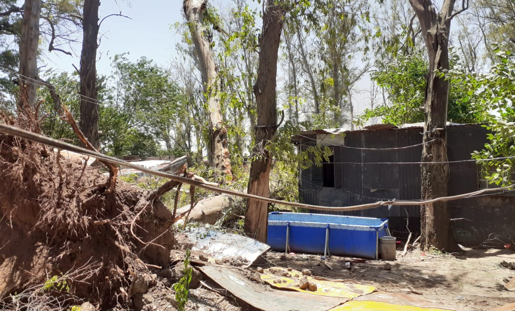 Todos X Joana: juntarán alimentos para ayudar a los hijos de la joven que falleció aplastada por un árbol
