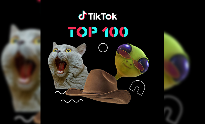 Los videos más populares de TikTok en este 2019