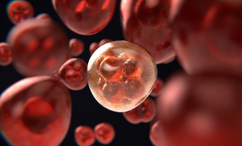 Investigadores británicos encuentran células inmunes que destruyen a las cancerosas