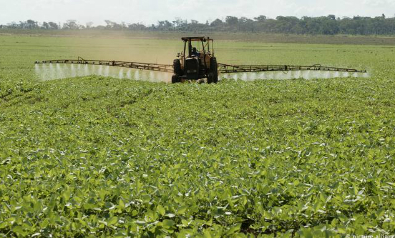 Argentina producirá más de 53 millones de toneladas de soja