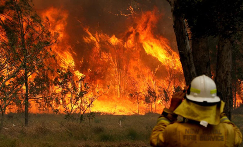 Ya son 23 los muertos por los incendios en Australia 